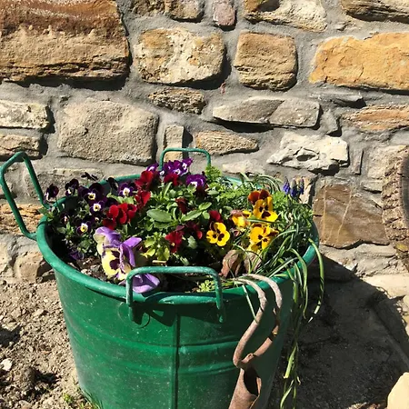 ベッド・アンド・ブレックファスト La Nel Vento 3*