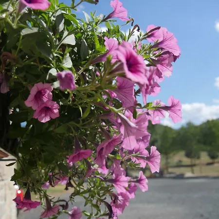 La Nel Vento Calestano