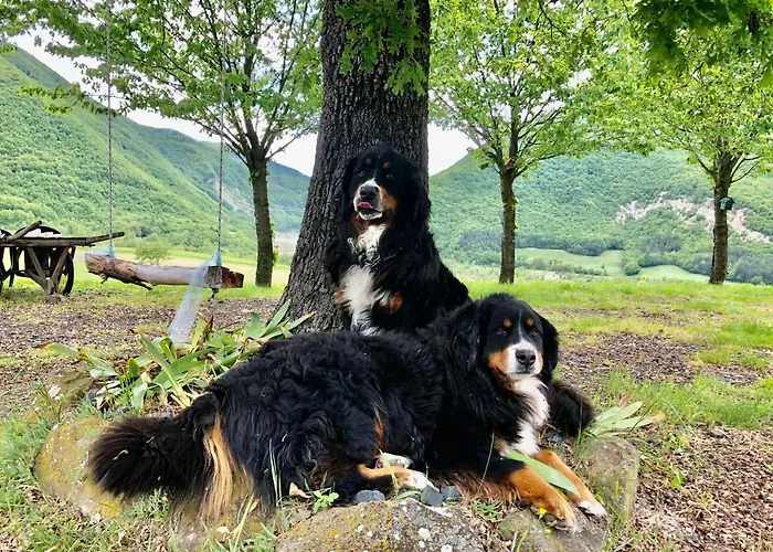 לינה וארוחת בוקר La Nel Vento 3*