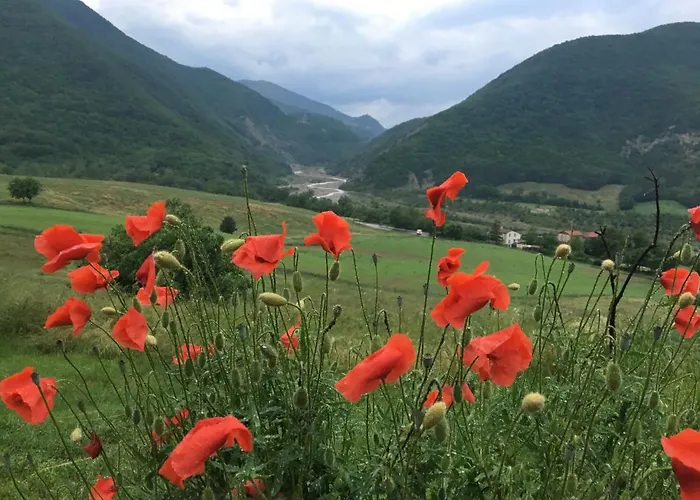 La Nel Vento לינה וארוחת בוקר 3*