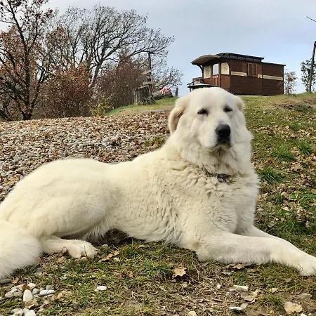 La Nel Vento Calestano