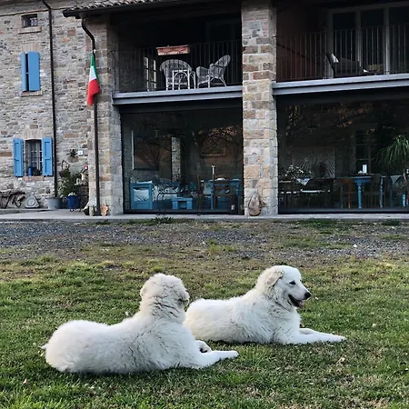 فندق مبيت وإفطار La Nel Vento Calestano