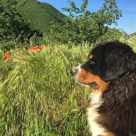 La Nel Vento Calestano