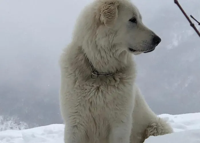 La Nel Vento فندق مبيت وإفطار 3*