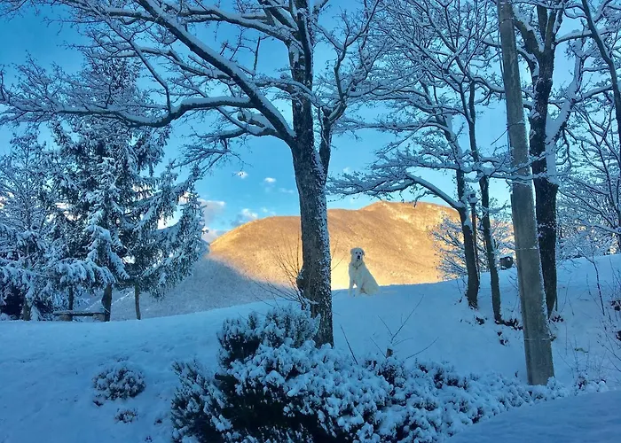 فندق مبيت وإفطار La Nel Vento