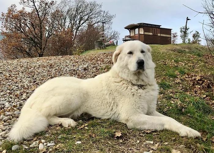 La Nel Vento Calestano