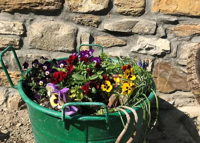 Nocleg ze śniadaniem La Nel Vento 3*