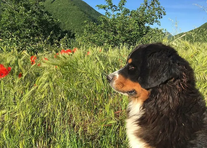 La Nel Vento Calestano