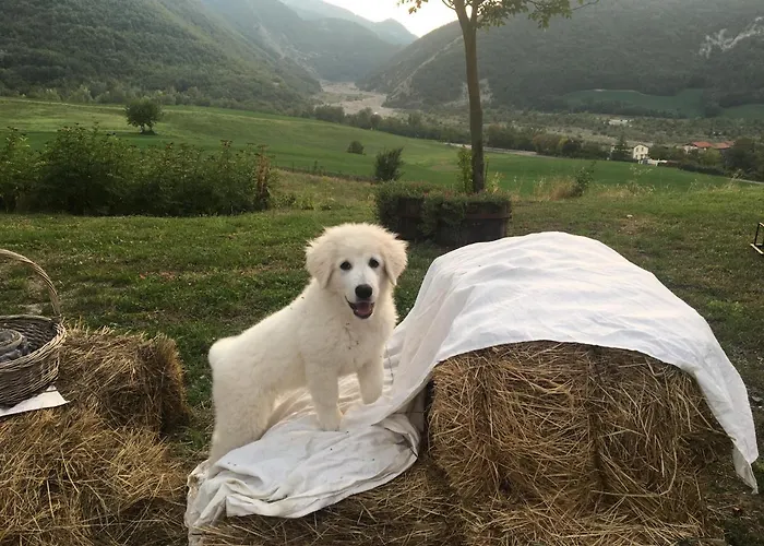 La Nel Vento Bed & Breakfast
