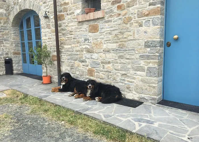 فندق مبيت وإفطار La Nel Vento Calestano